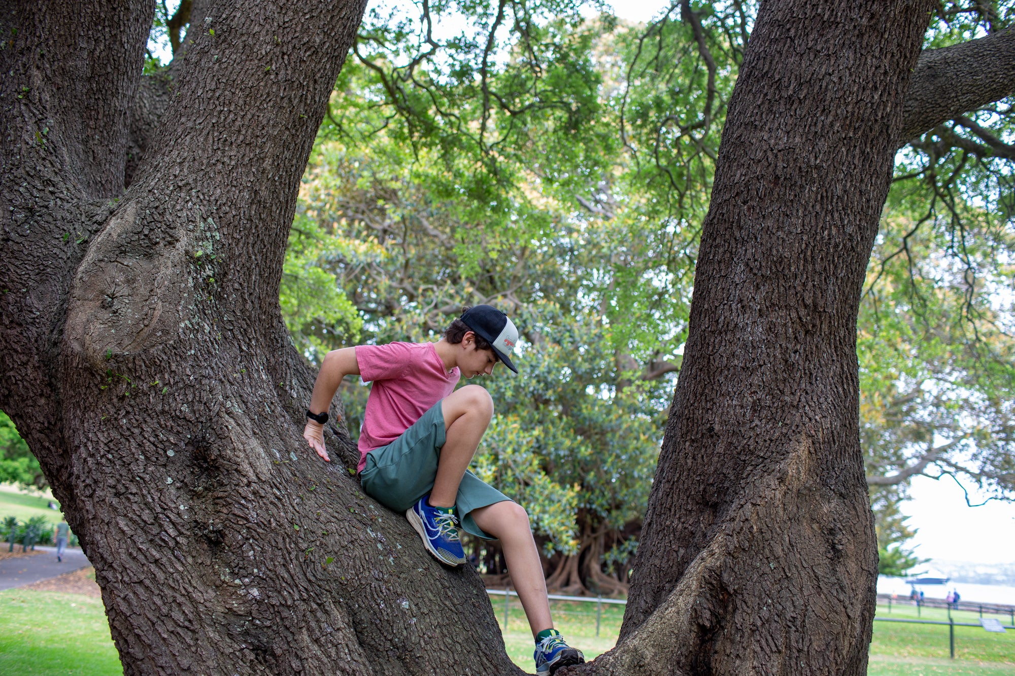 How trees can teach us self-compassion