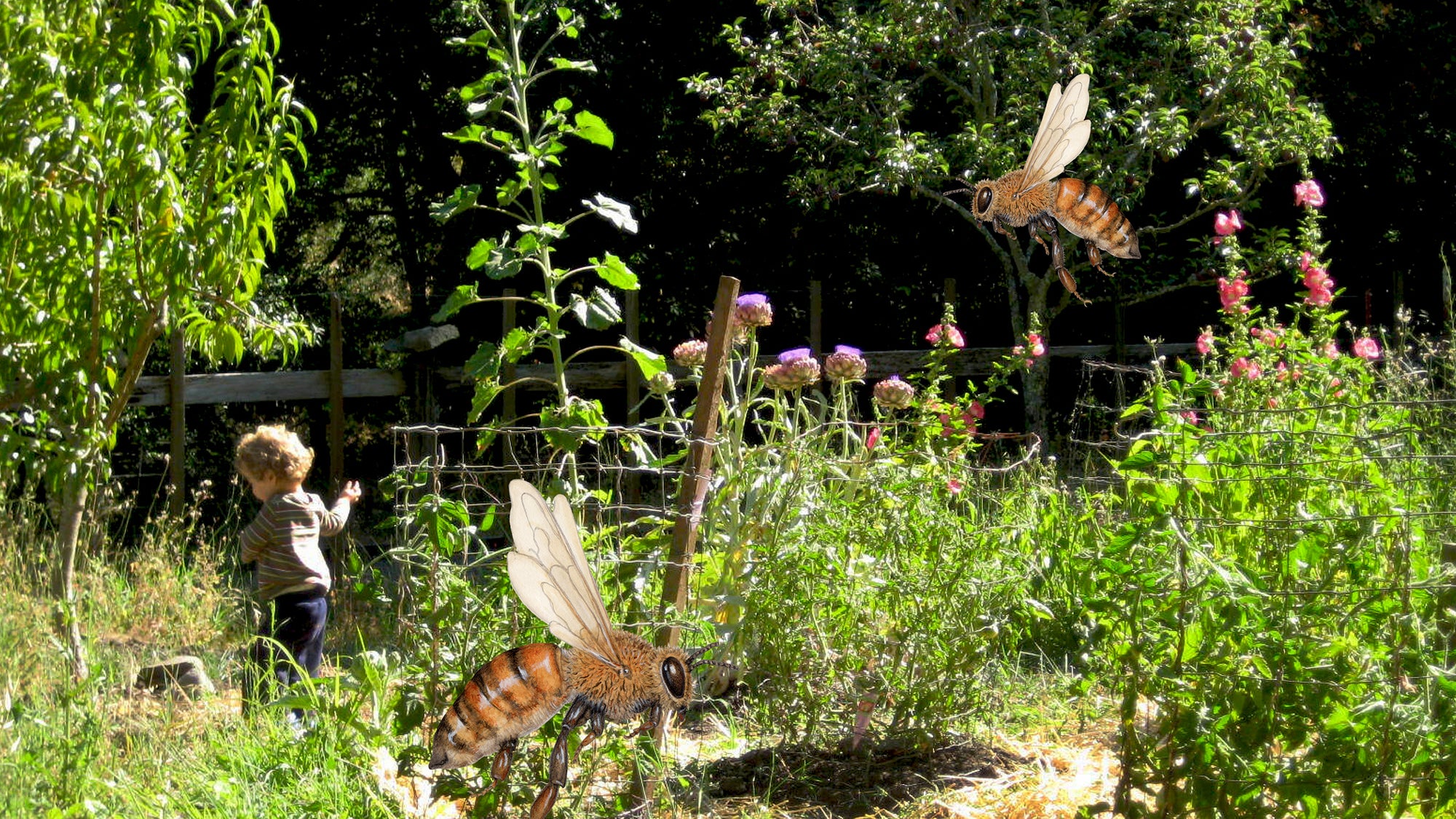 Why We Love Community Gardens